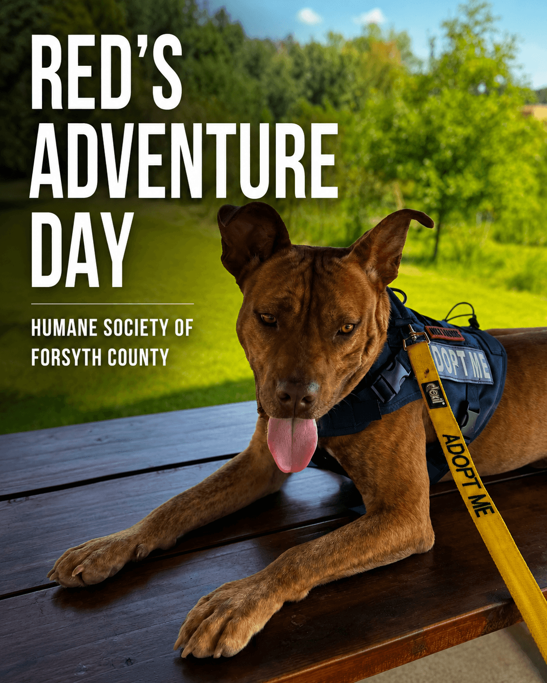 Cover artwork for Red's Adventure Day through the Humane Society of Forsyth County